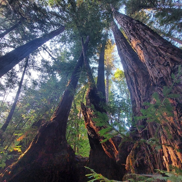 Heather's Loft - Picture 11 of 15